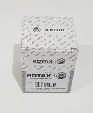 Rotax Piston and Ring Kit Evo