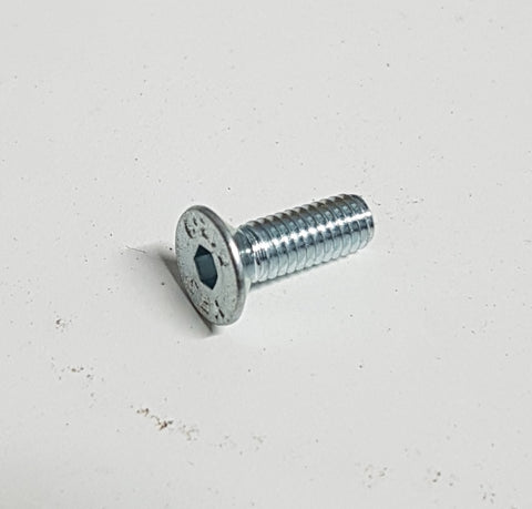 OTK Brake Caliper Piston Magnet Screw